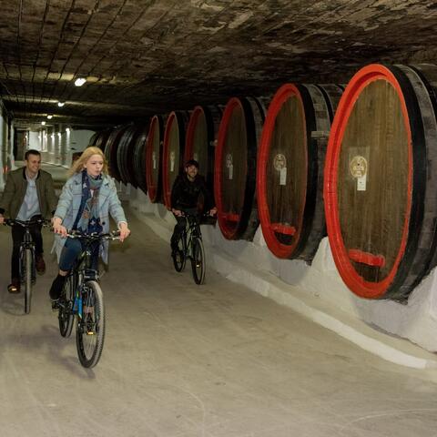 Biking a Guinness Book Winery