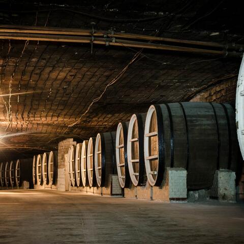 Biking a Guinness Book Winery